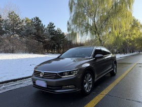 大众 迈腾 2018款 380TSI DSG 豪华型