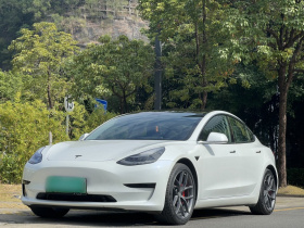 特斯拉 Model 3 2020款 改款 标准续航后驱升级版