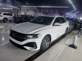 大众 朗逸 2024款 1.5L 自动星空五百万版