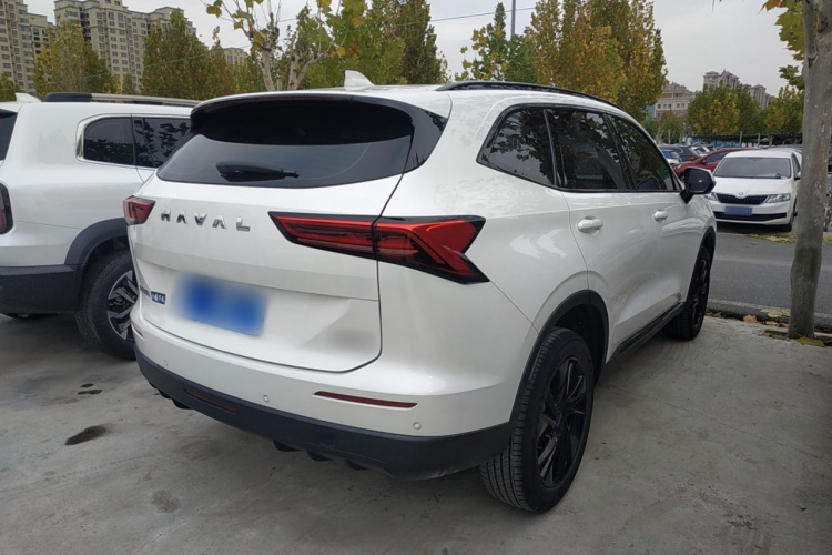 哈弗H6 2024款 1.5T 两驱Pro车身外观7