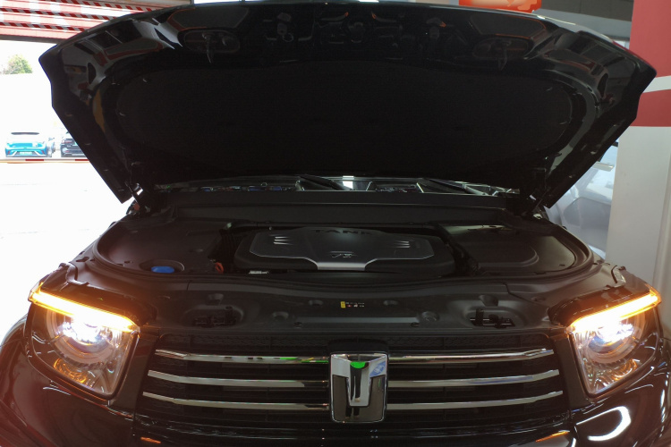 坦克700新能源 2024款 Hi4-T 极境版机舱底盘24