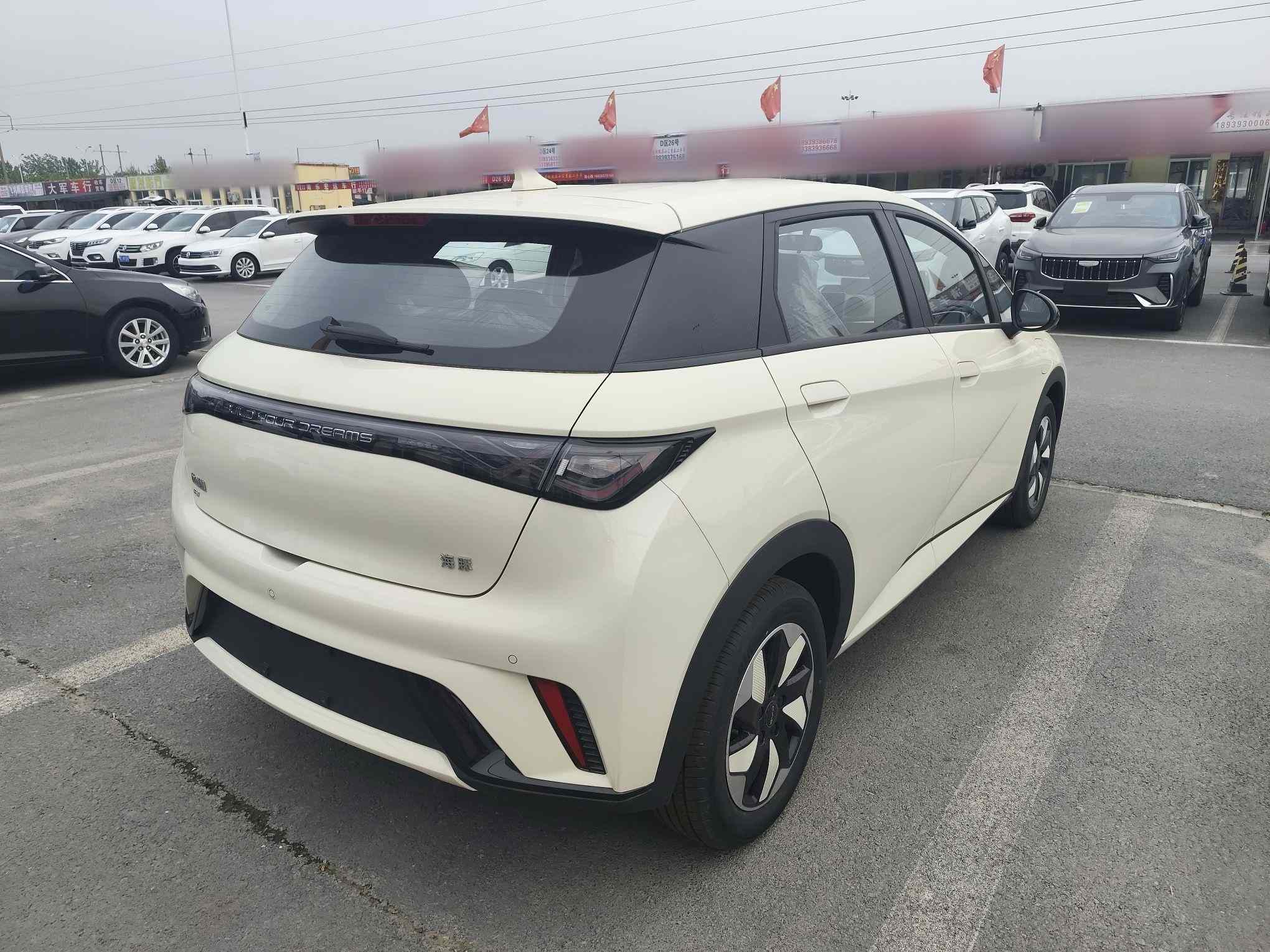 比亚迪 海豚 2025款 420km 自由版(4)