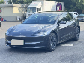 特斯拉 Model 3 2023款 长续航全轮驱动版