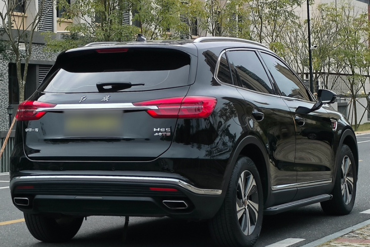 红旗HS5 2019款 2.0T 智联旗享版车身外观6001