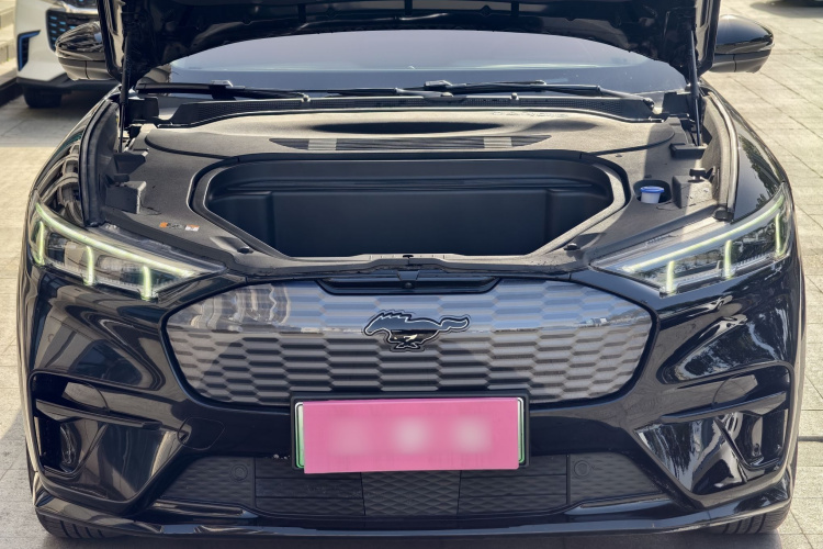 福特电马 2021款 无疆后驱豪华版(长续航)局部细节24