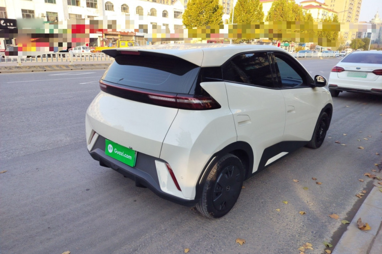 比亚迪 海鸥 2023款 活力版车身外观6003