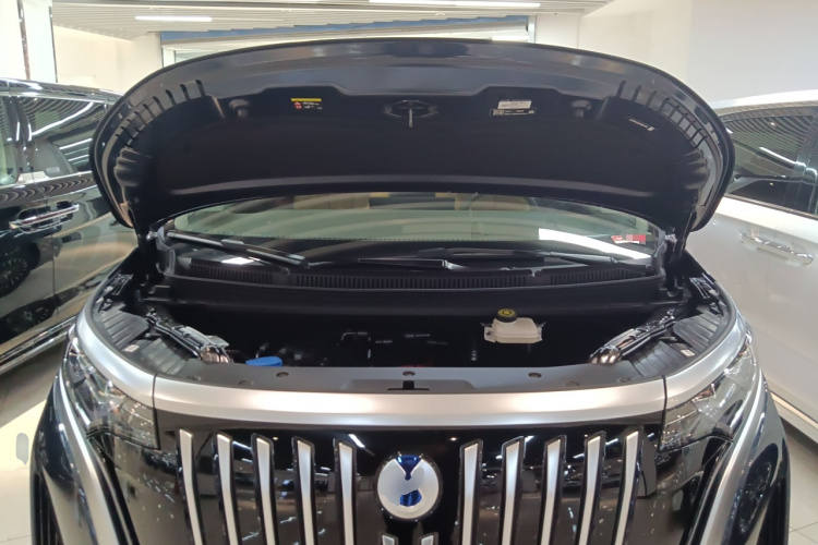 腾势D9 2022款 EV 600 四驱旗舰型机舱底盘24