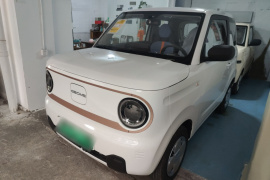 吉利银河 2024款 熊猫mini 200km 耐力熊