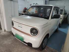 吉利银河 2024款 熊猫mini 200km 耐力熊