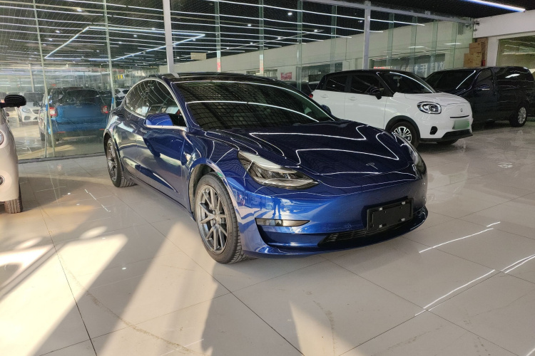 特斯拉 Model 3 2019款 标准续航后驱升级版车身外观6002