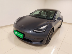 特斯拉 Model 3(进口) 2019款 长续航后驱版