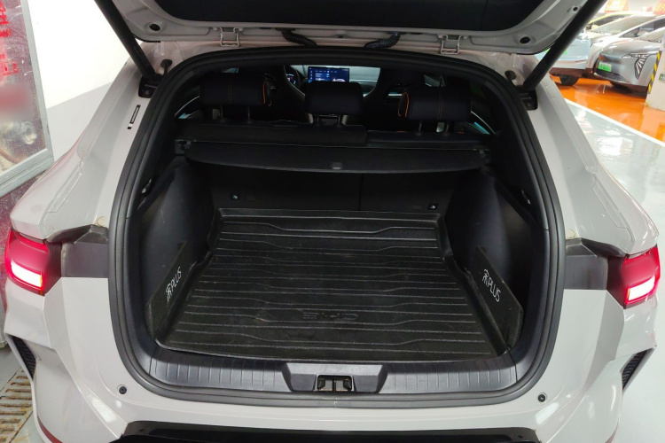 比亚迪 宋PLUS新能源 2023款 冠军版 EV 520KM 尊贵型局部细节23