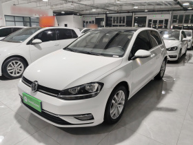 大众 高尔夫 2019款 280TSI DSG舒适型 国VI