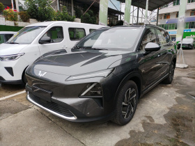 五菱汽车 五菱星光S 2024款 130km 旗舰型