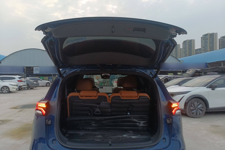 比亚迪 唐新能源 2022款 EV 730KM 尊享型局部细节23