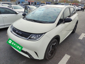 比亚迪 海豚 2021款 405km 时尚版