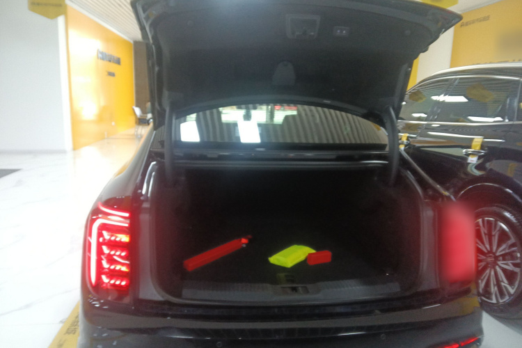 红旗H9 2024款 2.0T 旗畅 私享风尚版局部细节23