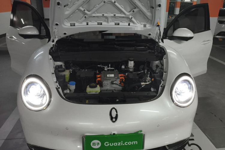 欧拉好猫 2024款 401km 尊荣型 126kW局部细节24