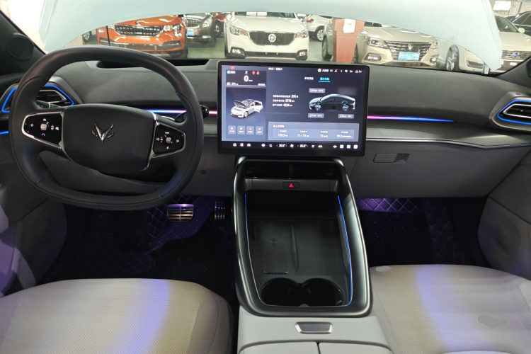 ARCFOX极狐 极狐 阿尔法S5 2024款 560MAX 185kW中控内饰12