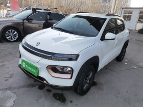 东风纳米EX1 2022款 改款 PRO 悦骋型