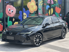 丰田 亚洲龙 2023款 2.5L 豪华版