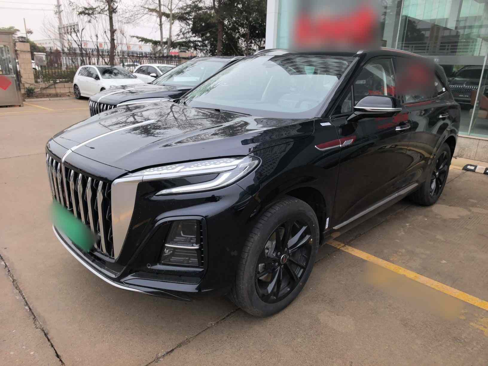 红旗HS3 PHEV 2025款 125km 劲为 200万辆纪念版(2)
