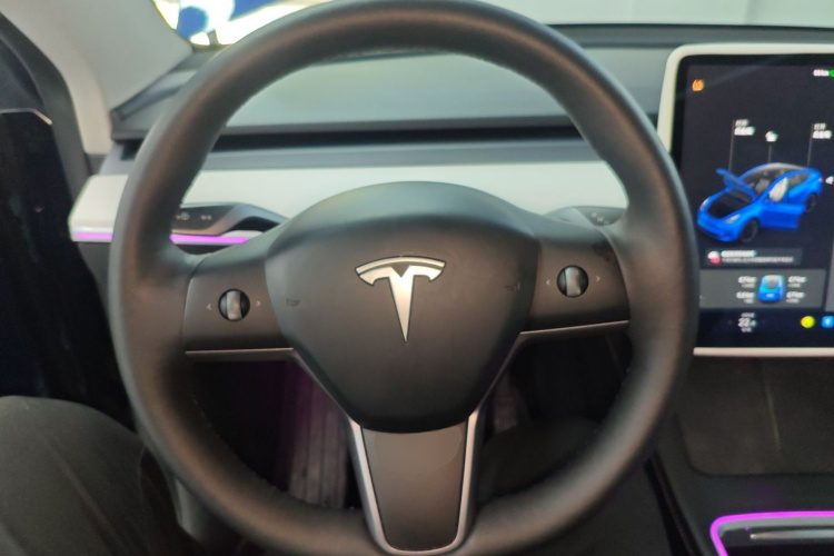 特斯拉 Model Y 2021款 长续航全轮驱动版局部细节13