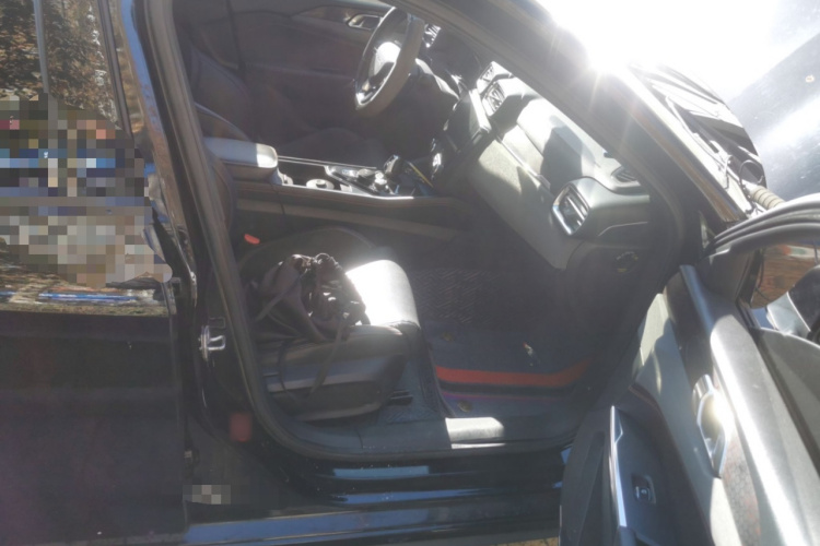 领克03 2019款 1.5TD DCT劲版 国VI局部细节9005