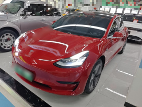 特斯拉 Model 3 2019款 标准续航后驱升级版