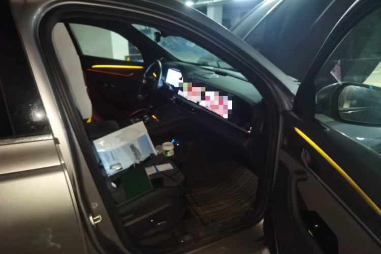 吉利汽车 星越L 2025款 东方曜 2.0TD 自动揽星版局部细节9005