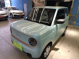 吉利银河 2024款 熊猫mini 200km 耐力熊