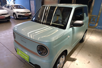 吉利银河 2024款 熊猫mini 200km 耐力熊