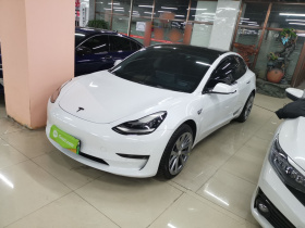 特斯拉 Model 3 2019款 标准续航后驱升级版