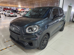 零跑汽车 零跑T03 2023款 310轻享版