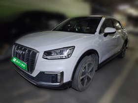 奥迪Q2L e-tron 2019款 Q2L e-tron 纯电智享型