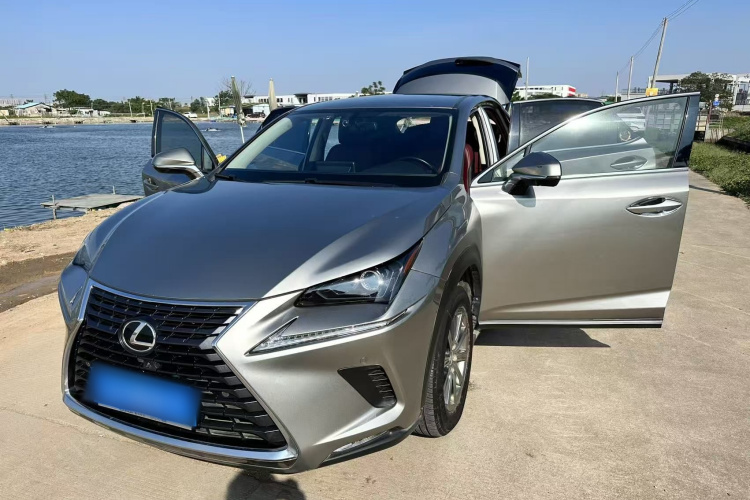 雷克萨斯NX 2020款 200 前驱 锋行版 国VI车身外观6010