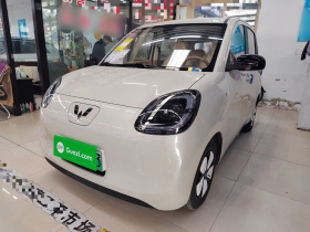 五菱汽车 宏光MINIEV 2025款 四门版 进阶款