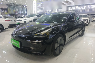 特斯拉 Model 3 2021款 标准续航后驱升级版 3D6