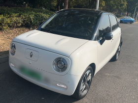 欧拉黑猫 2022款 405km 长续航型 三元锂