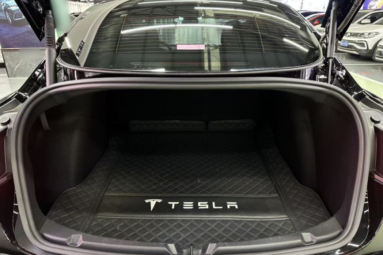 特斯拉 Model 3 2021款 标准续航后驱升级版 3D6局部细节23