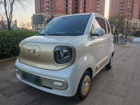 奔腾小马 2025款 222km 玲珑马