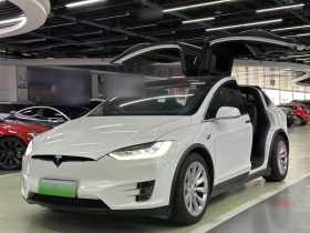 特斯拉 Model X 2020款 长续航升级版