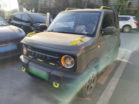 吉利银河 2024款 200km 熊猫卡丁