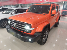 坦克300 2024款 2.0T 穿越者