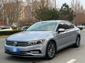 大众 迈腾 2020款 380TSI DSG 豪华型