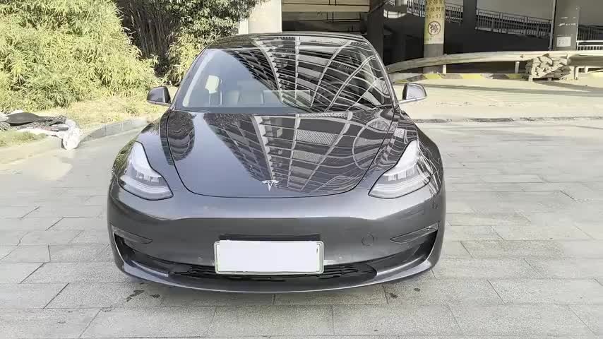 特斯拉 Model 3(进口) 2019款 长续航全轮驱动版实拍1