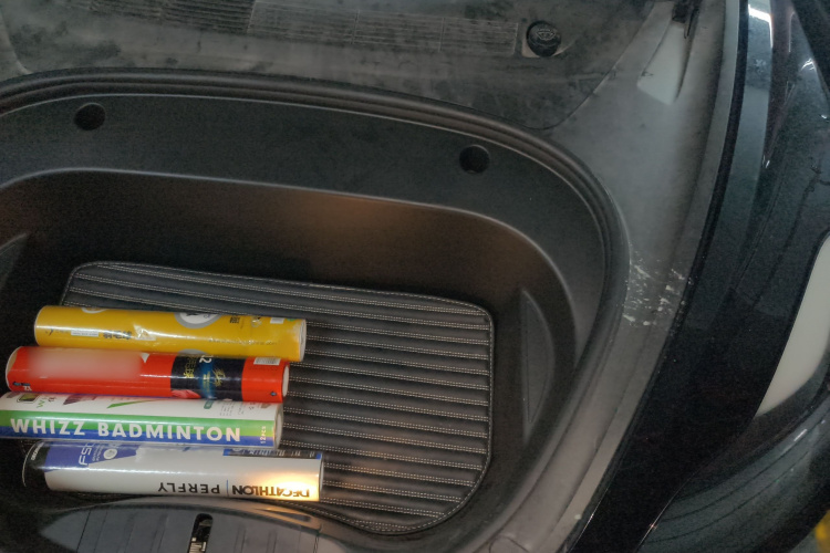 特斯拉 Model 3 2021款 标准续航后驱升级版局部细节9007