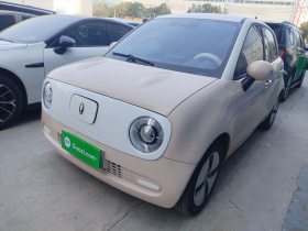 欧拉黑猫 2022款 301km 基础型 三元锂