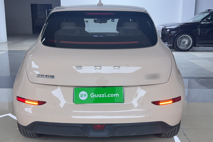 欧拉好猫 2021款 400km标准续航 维纳斯版 三元锂车身外观6005