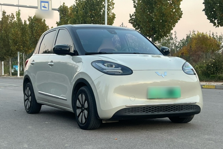 五菱汽车 五菱缤果 2023款 333km 灵犀互联款车身外观6009